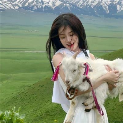 刀叉下的秘密 海报